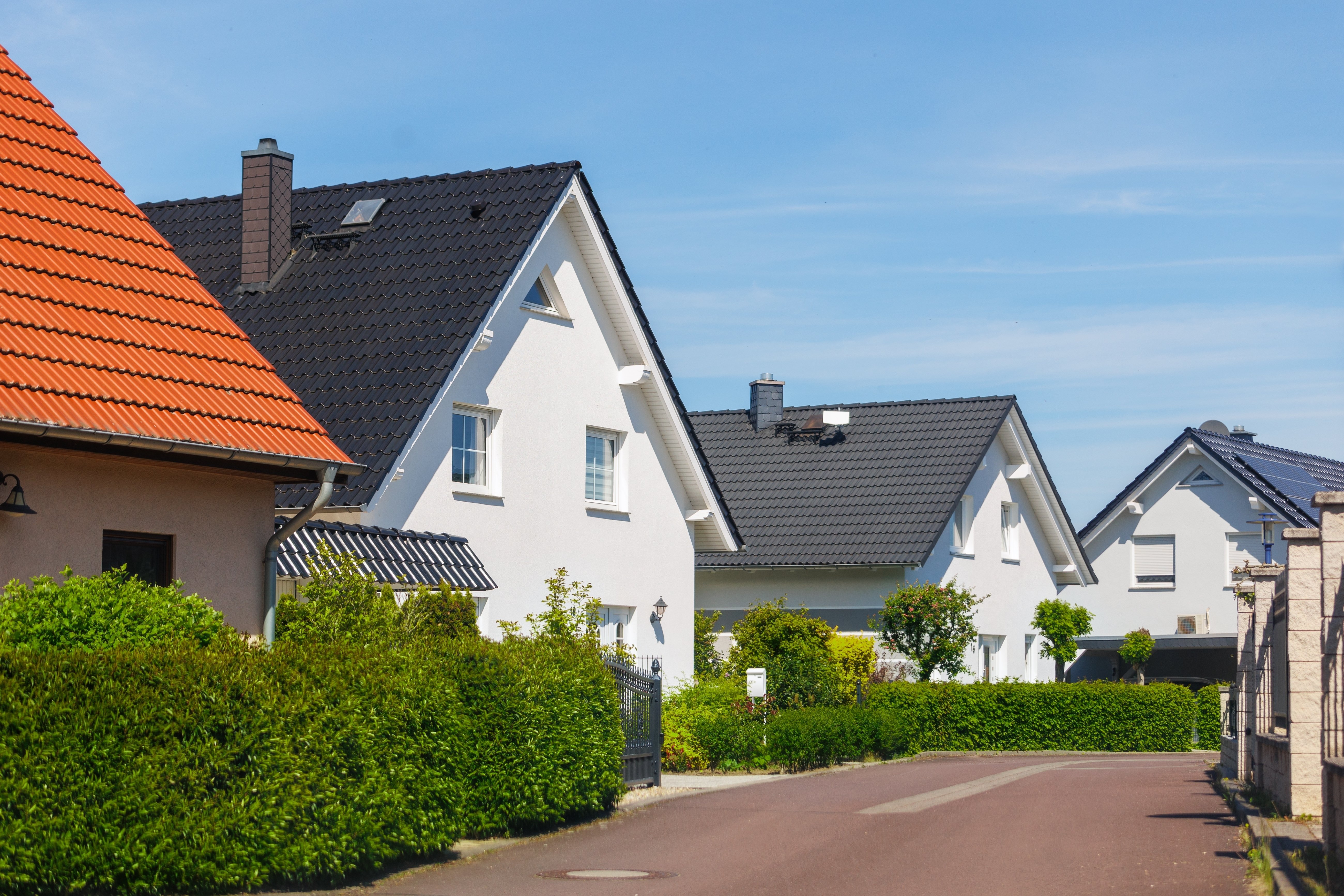 shutterstock_2470202779
