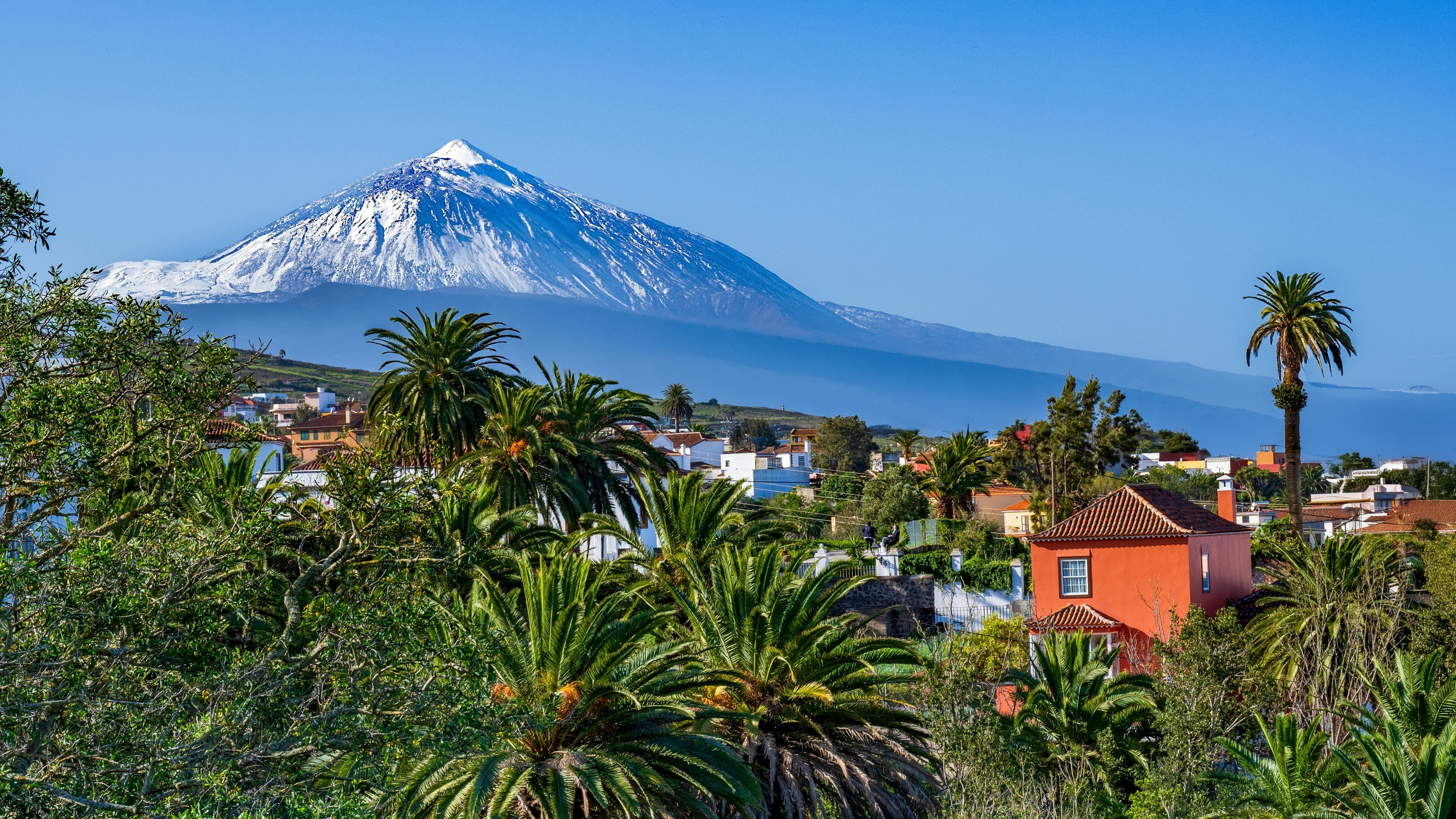 shutterstock_2570312405